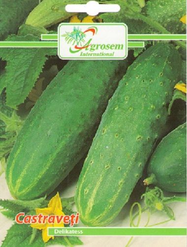 Seminte legume - Castraveti Delikatess