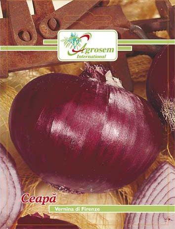Seminte legume - Ceapa Rosie Vernina Di Firenze
